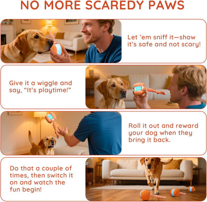 🎉Interactive Dog Toys, Random Path Electric Automatic Moving and Rolling Dogs Toy with Rope for Small Medium Large Dogs, Motion-Activated Dog Stimulation Toy for Boredom Relief (Orange)